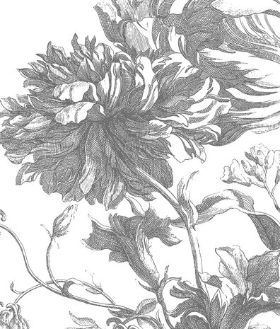 Botanisch behang Engraved Botanicals, zwart-wit, afwasbaar