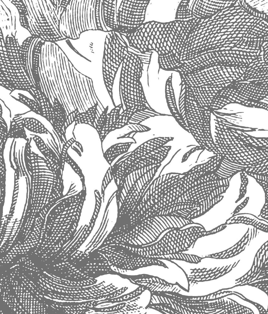 Botanische Tapete Engraved Botanicals, schwarz und weiß, waschbar
