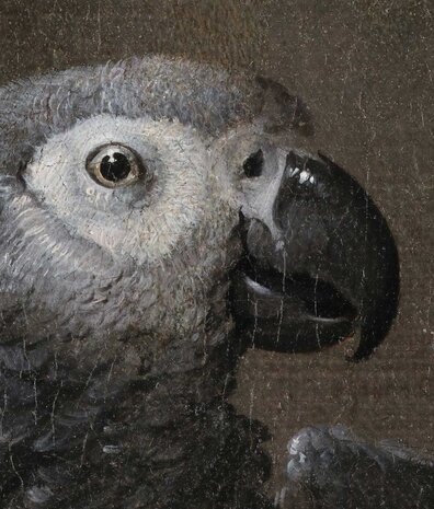 Tapete alte Meister Vintage Masterpiece, waschbar Tapete alte Meister Vintage Masterpiece, waschbar