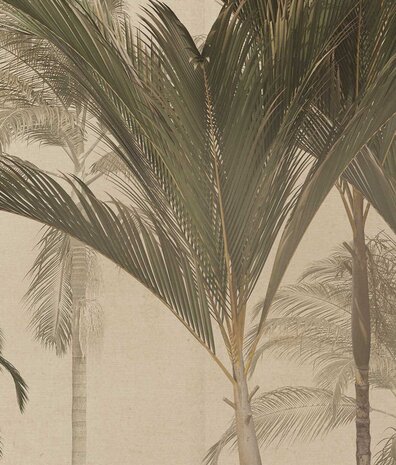 Palm wallpaper Retro Palm Paradise, beige, washable Palm wallpaper Retro Palm Paradise, beige, washable