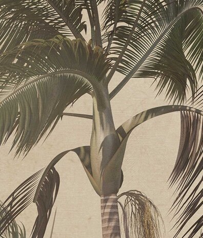 Palm wallpaper Retro Palm Paradise, beige, washable Palm wallpaper Retro Palm Paradise, beige, washable