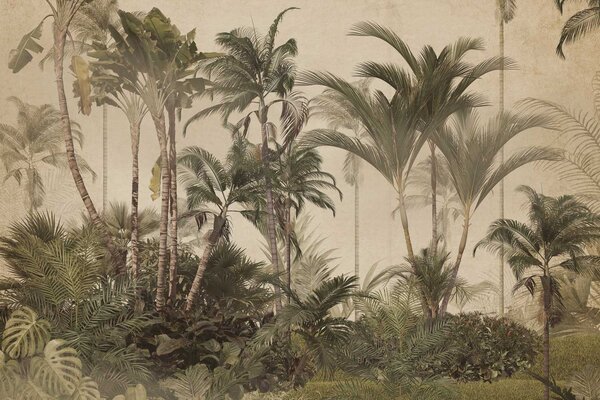 Palm wallpaper Retro Palm Paradise, beige, washable Palm wallpaper Retro Palm Paradise, beige, washable