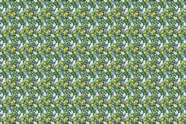 Botanische Tapete Blossom Citrus Charm, grün, waschbar Botanische Tapete Blossom Citrus Charm, grün, waschbar