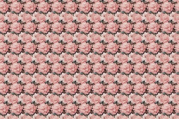 Bloemen behang Pink Floral Elegance, roze, afwasbaar Bloemen behang Pink Floral Elegance, roze, afwasbaar