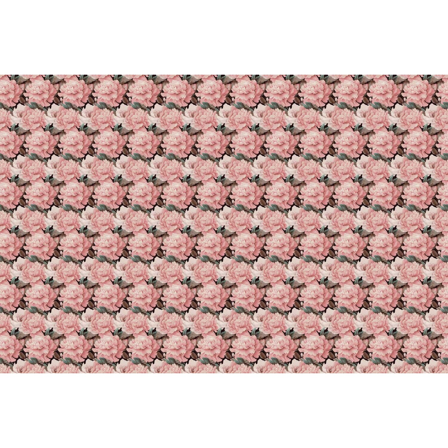 Rozen - Fotobehang, image size:1500x1500