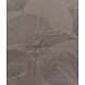 Stoneflower Essence Stoneflower Essence