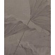 Stoneflower Essence Stoneflower Essence