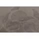 Stoneflower Essence Stoneflower Essence
