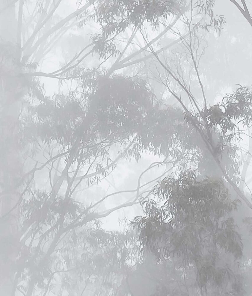 Landschap behang Misty Forest Elegance, afwasbaar Landschap behang Misty Forest Elegance, afwasbaar