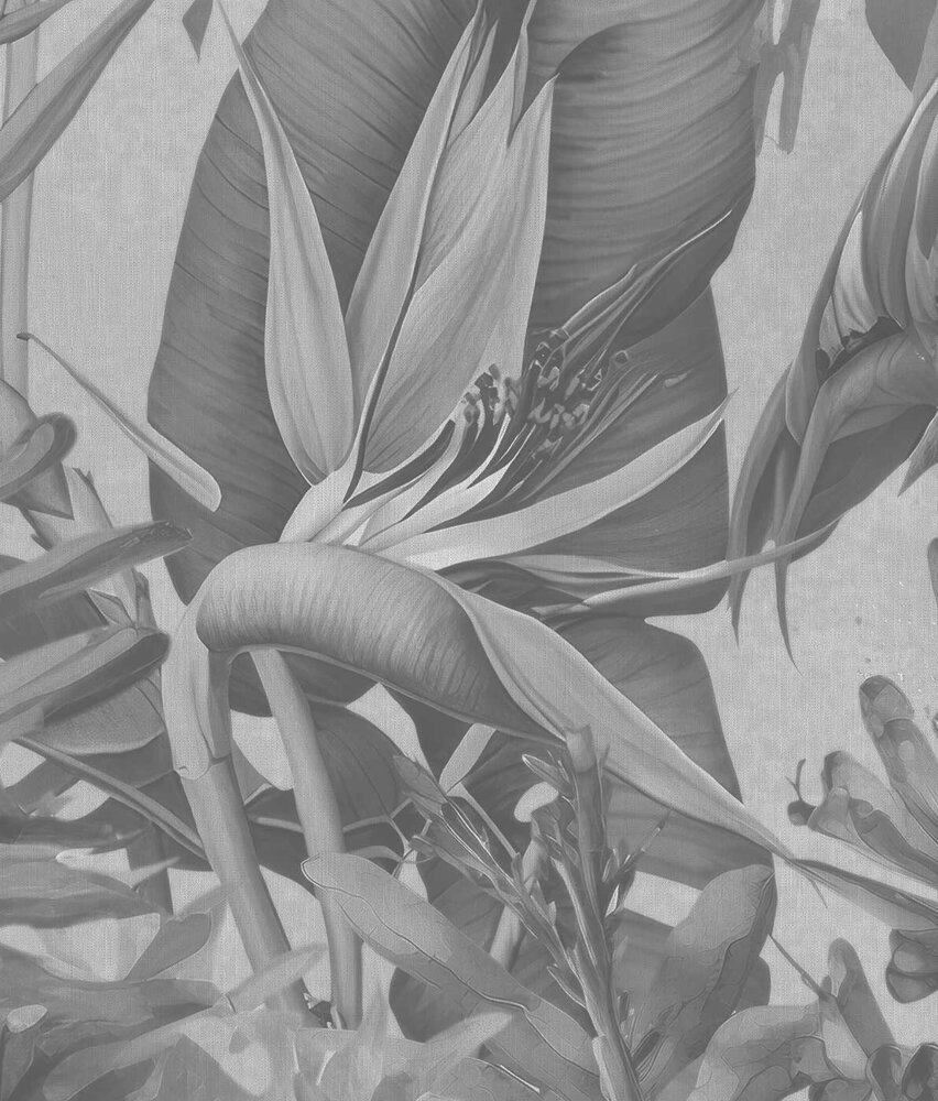 Jungle wallpaper Exotic Paradise, black and white, washable Jungle wallpaper Exotic Paradise, black and white, washable