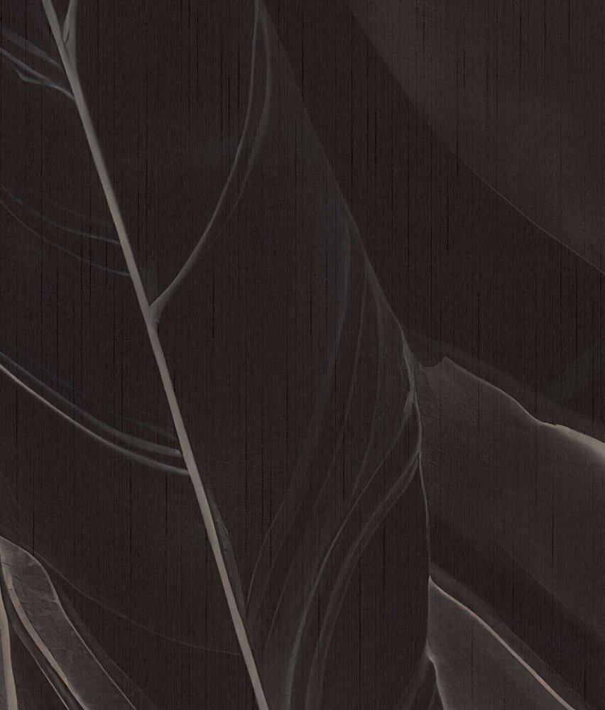 Bladeren behang Bold Black Foliage, zwart, afwasbaar