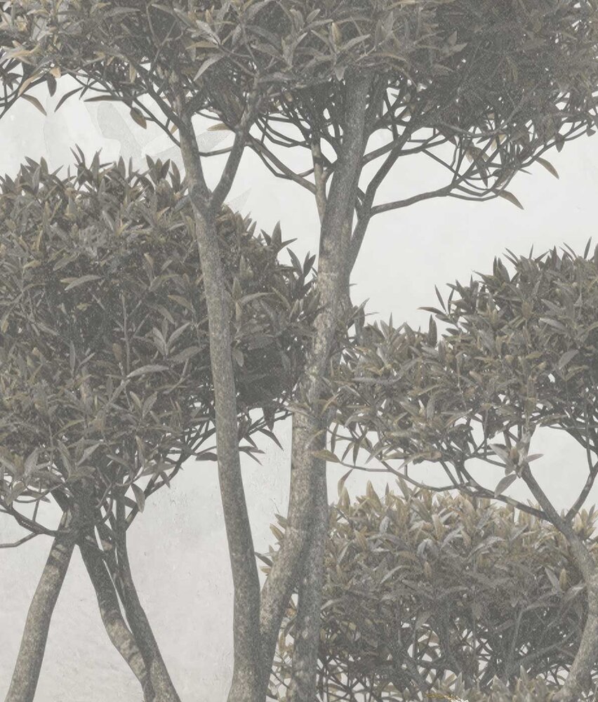 Landschap behang Enchanting Forest Elegance, afwasbaar Landschap behang Enchanting Forest Elegance, afwasbaar