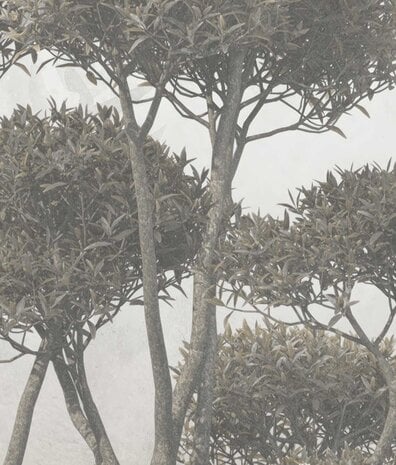 Landschaftstapete Enchanting Forest Elegance, waschbar Landschaftstapete Enchanting Forest Elegance, waschbar