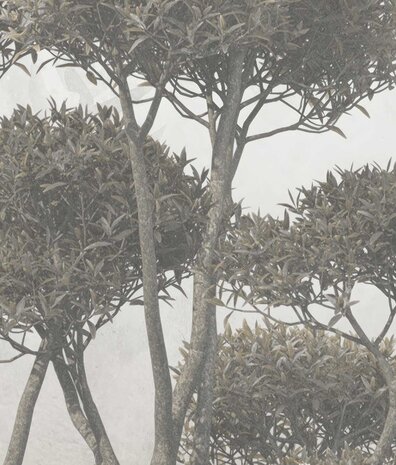 Landschap behang Enchanting Forest Elegance, afwasbaar Landschap behang Enchanting Forest Elegance, afwasbaar