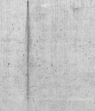 Tapete im Industriestil Raw Concrete Elegance, grau, waschbar Tapete im Industriestil Raw Concrete Elegance, grau, waschbar