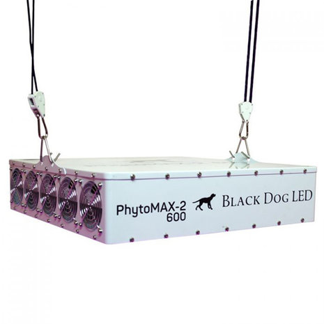 Black Dog Black Dog Phytomax-2 600 Black Dog Black Dog Phytomax-2 600