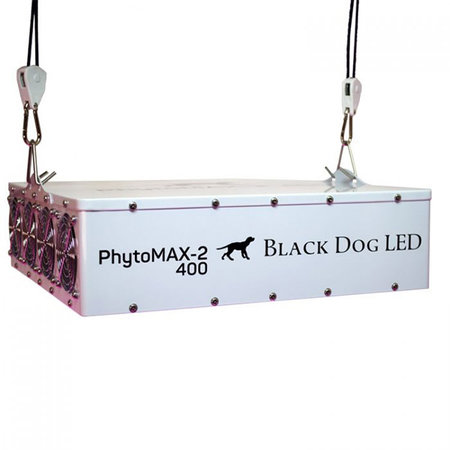 Black Dog Black Dog Phytomax-2 400 Black Dog Black Dog Phytomax-2 400