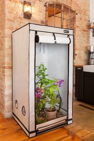 Homebox Homebox Ambient Q120+ 120x120x220cm Homebox Homebox Ambient Q120+ 120x120x220cm