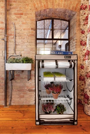 Homebox Homebox Ambient Q150+ 150x150x220 cm Homebox Homebox Ambient Q150+ 150x150x220 cm