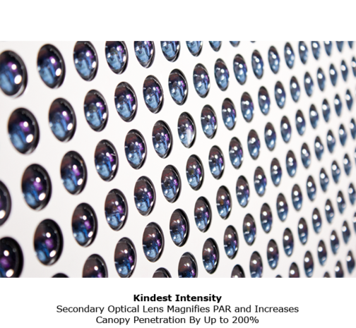 Kind Led Kind LED K5 XL1000 Kind Led Kind LED K5 XL1000