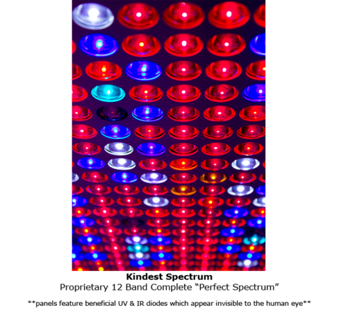 Kind Led LED enfant K5 XL1000 Kind Led LED enfant K5 XL1000