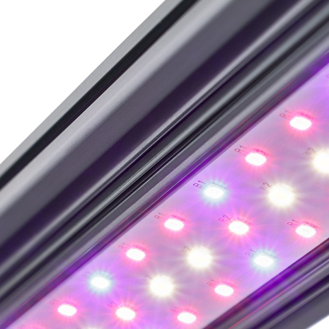 Kind Led Kind LED X80 Bloei (80w) Kind Led Kind LED X80 Bloei (80w)