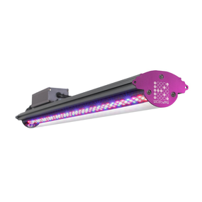 Enfant LED X40 Floraison