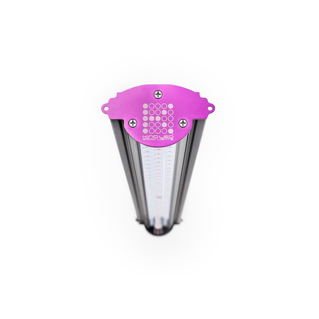 Kind Led Kind LED X40 Bloei (40w) Kind Led Kind LED X40 Bloei (40w)