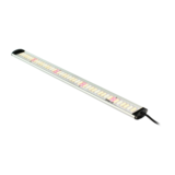 Apollo ApolloFalcon115