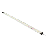 Apollo ApolloFalcon60