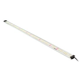 ApolloFalcon60 ApolloFalcon60