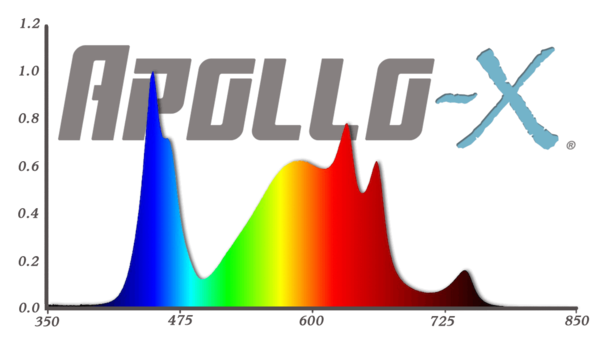 Apollo Apollo X6 302W