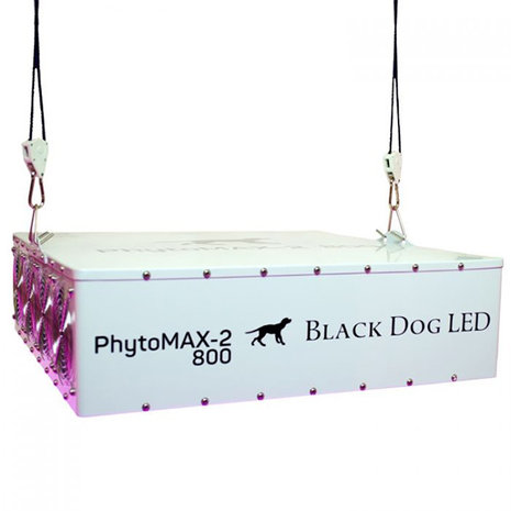 Black Dog Black Dog Phytomax-2 800 Black Dog Black Dog Phytomax-2 800
