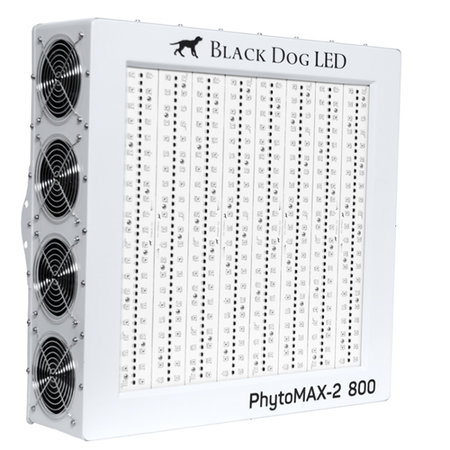 Black Dog Black Dog Phytomax-2 800 Black Dog Black Dog Phytomax-2 800