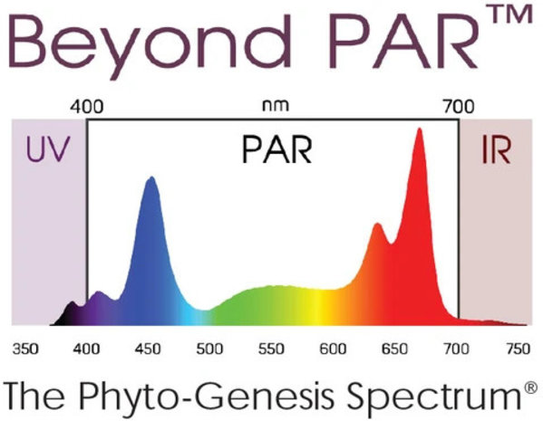 Black Dog Black Dog Phytomax-2 800 Black Dog Black Dog Phytomax-2 800