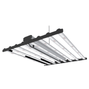 Spectro Light Spider 2i Spectro Light Spider 2i