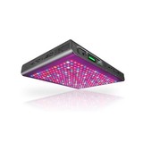 Kind Led LED enfant K5 XL1000