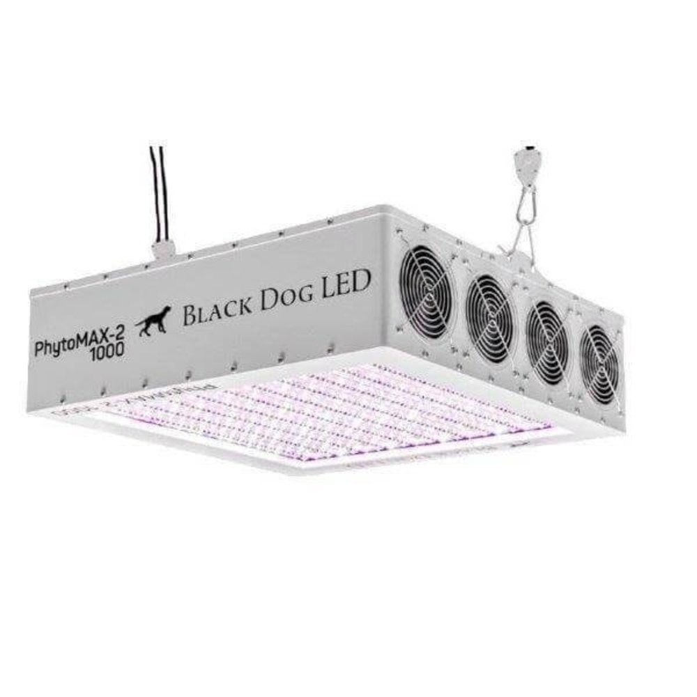 Black Dog 200 - LED Grow lights - Grow-dutch.com