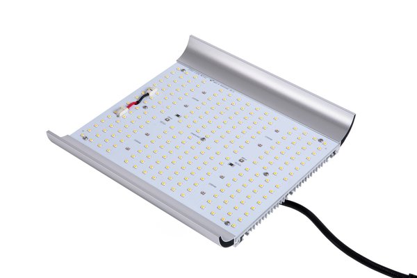 Apollo Apollo Quantum 100 watts