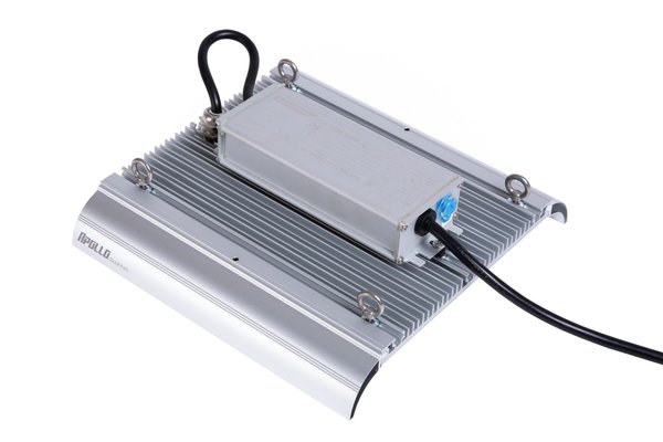 Apollo Apollo Quantum 100 watts