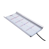 Apollo Apollo Quantum 240 Watt Apollo Apollo Quantum 240 Watt