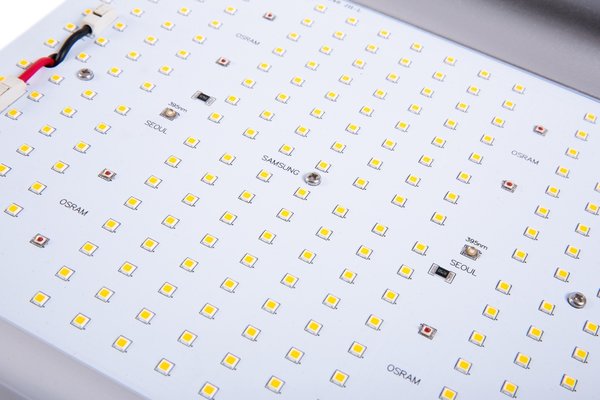 Apollo Apollo Quantum 240 Watt Apollo Apollo Quantum 240 Watt