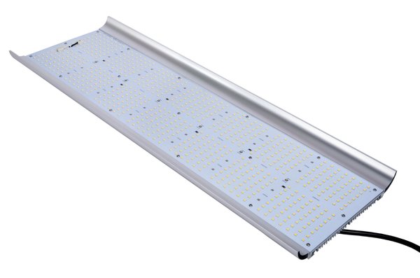 Apollo Apollo Quantum 320 Watt Apollo Apollo Quantum 320 Watt