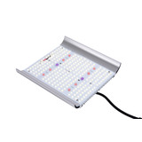 Apollo Apollo Quantum 100 watts