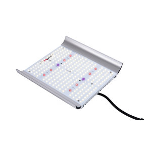Apollo Quantum 100 Watt Apollo Quantum 100 Watt