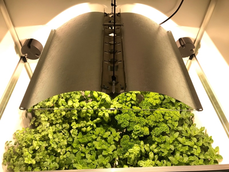 Wachsen wie ein Profi mit der Bonanza growschrank