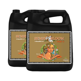 Advanced Nutrients pH Perfect Sensio Bloom A+B 1ltr