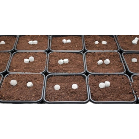 Biotabs BioTabs Buffertabs 400 Stuks Biotabs BioTabs Buffertabs 400 Stuks