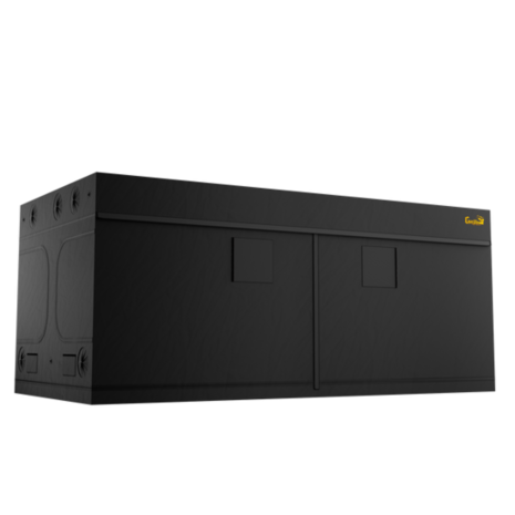 Gorilla Gorilla GT816 244x448cm Gorilla Gorilla GT816 244x448cm