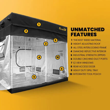 Gorilla Gorilla GT816 244x448cm Gorilla Gorilla GT816 244x448cm